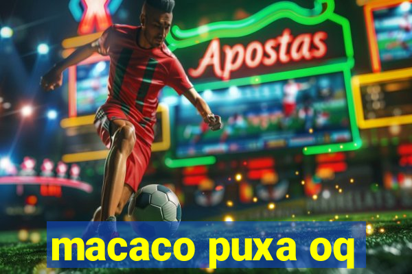 macaco puxa oq